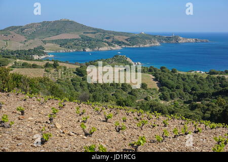 Coastal landscape the bay of Paulilles and the Cap Bear on the shore of the Mediterranean sea in the south of France, Pyrenees Orientales, France Stock Photo