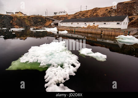 Fishing Stage and docks in Crow Head, Twillingate, Newfoundland, Canada Stock Photo