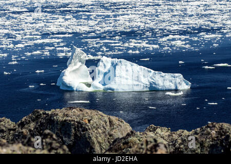 Iceberg in Iceberg Alley near Crow Head, Twillingate, Newfoundland, Canada Stock Photo