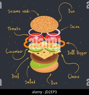 Vector illustration of burger infographics. Cheeseburger ingredients arranged in separate layers. Isometric design. Stock Vector