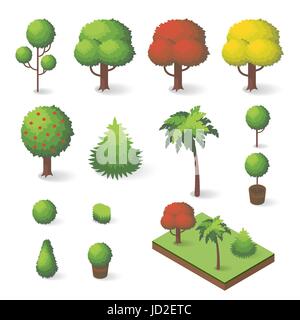 Vector set of isometric various trees: fir-tree, apple tree, palm tree. Stock Vector