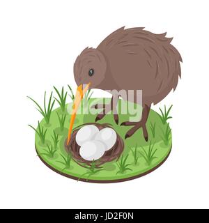 Vector 3d isometric illustration of kiwi bird near the nest with three eggs. Stock Vector