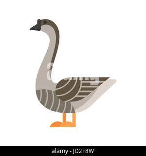 Vector flat style illustration of goose. Icon for web. Stock Vector