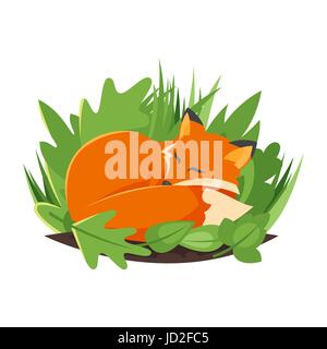Vector cartoon style illustration of sleeping fox. Icon for web. Isolated on white background. Stock Vector