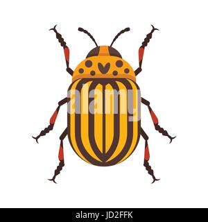 Vector flat style illustration of Colorado beetle. Icon for web. Isolated on white background. Stock Vector