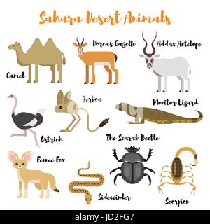 Vector flat style set of desert wild animals. Icon for web. Isolated on white background. Stock Vector