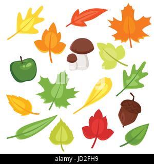 Vector cartoon style set of autumn symbols: colorful leaves, mushrooms and acorn. Icons for web. Isolated on white background. Stock Vector