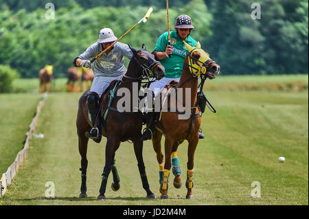 Polo-Player,Pferd,Horse,Polo,Players, action, activity, animal, badge, ball, black, boots, club, compete, competition, design, emblem, equestrian, equ Stock Photo