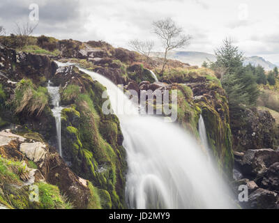 Loup of Fintry Stock Photo