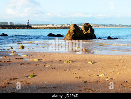 Dog footprints towards rocks at Lagos beach (Praia da Batata), Algarve, Portugal during Sunset Stock Photo