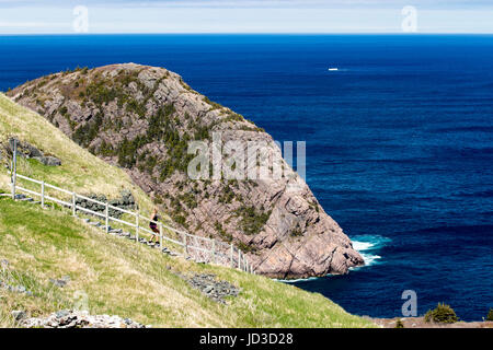 Hiking Trails at Signal Hill- St. John's, Avalon Peninsula, Newfoundland, Canada Stock Photo