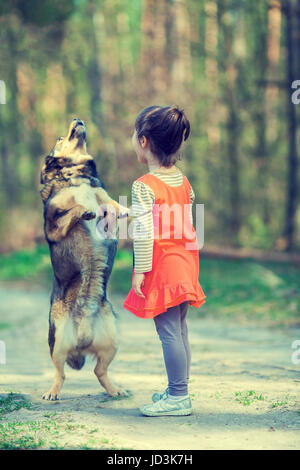 The little girl teaches the dog to perform the command. Dog stands on hind legs Stock Photo