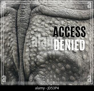 Word Access Denied. Closeup of the strong armor of a rhinoceros. Stock Photo