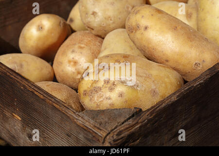 Big washed new potato in old vintage wooden brown storage box at retail farmers market display close up, high angle view Stock Photo