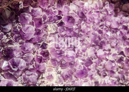 Natural amethyst crystal background Stock Photo