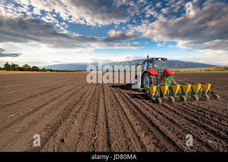 Agriculture tractor sowing seeds and cultivating field. Stock Photo