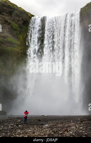 Skogafoss waterfalls foss falls, south Iceland, pt  Europe,  File size: 11.16 MB rear view “ SENDING LARGER FILE” Stock Photo