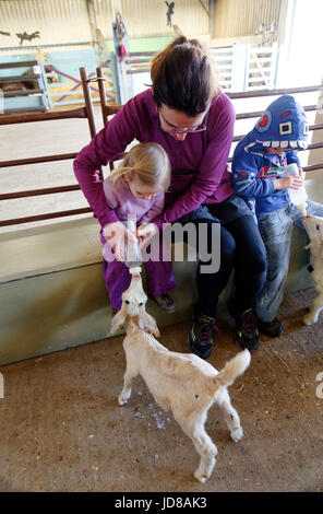 A little girl and her mum bottle feeding a goat at Putlake Adventure Farm nr Swanage in Dorset Stock Photo