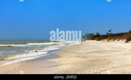 Typical coast of Sanibel Island, Florida, USA Stock Photo