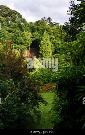 The sub-tropical Trebah Garden in Cornwall. Stock Photo