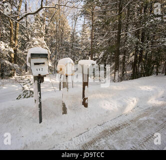 Three mailboxes in a row, in snow covered rural setting  ontario canada winter cold 2017 snow Stock Photo