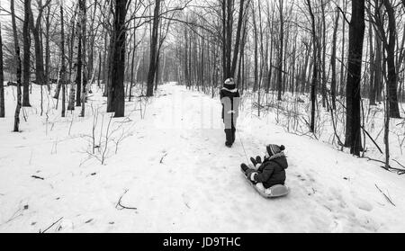 Mother pulling son on sledge in woods in winter, Ontario, Canada. ontario canada winter cold 2017 snow Stock Photo