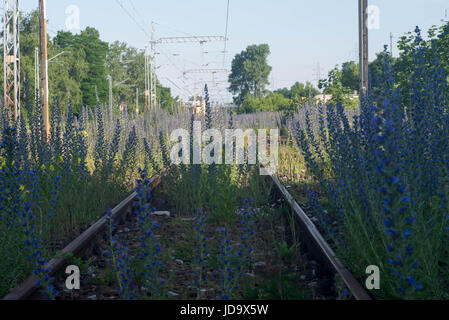 abandoned rail track to nowhere Stock Photo