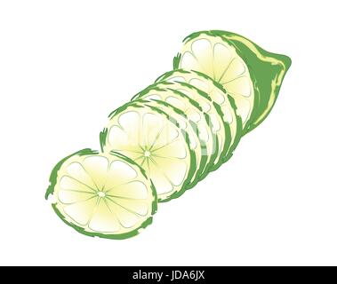 Lime fruits on white background Stock Vector