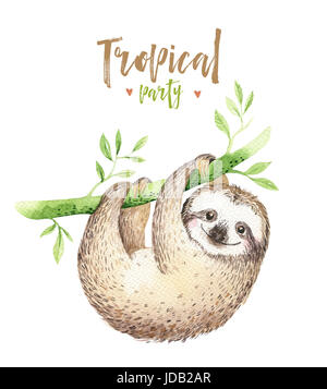 Baby animals sloth nursery isolated painting. Watercolor boho tropical drawing, child tropical illustration. cute palm tree leaves, tropic green textu Stock Photo