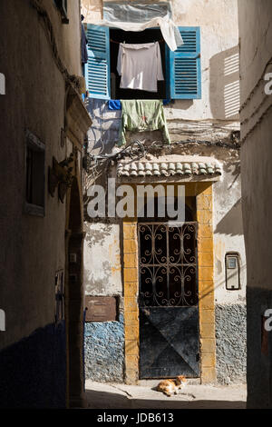 Windows and doorways of different shapes and colours on every house in the old town of Essaouira, Morocco Stock Photo