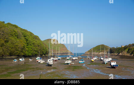 Watermouth cove harbour North Devon coast near Ilfracombe uk with boats and yachts Stock Photo