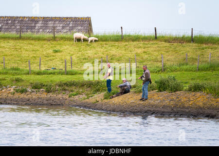 Sheep on dike and three sport fishermen fishing off river bank of Spui river, South Holland, Netherlands Stock Photo