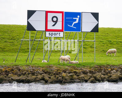 Dike and river bank with sheep and signs for speed limit and waterskiing on Spui river, South Holland, Netherlands Stock Photo