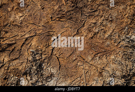 Brown abstract background. Dry brown soil with cracks Stock Photo