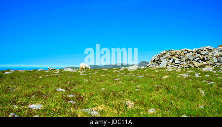 A single sheep grazing at  thne top of the mountain range hiugh up in Snowdonia National Park, Wales, UK Stock Photo