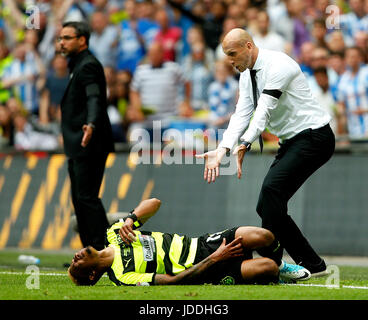 London, UK. 29th May, 2017. Reading manager Jaap Stam reacts as Rajiv van La Parra of Huddersfield Town lies injured during the SkyBet Championship Play Off Final match at the Wembley Stadium, England. Picture date: May 29th, 2017.Picture credit should read: Matt McNulty/Sportimage/CSM/Alamy Live News