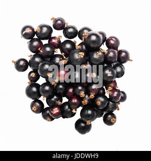 Black Currants on a white background Stock Photo