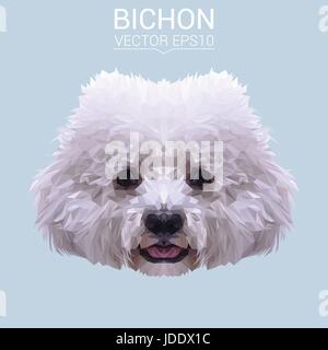 White Bichon Frise dog animal low poly design. Stock Vector