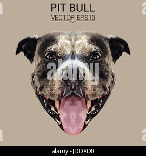 American Pit Bull Terrier dog animal low poly design vector illustration. Stock Vector