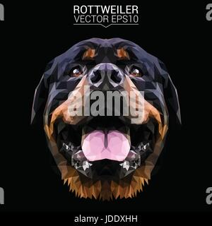 Rottweiler dog animal low poly design. Triangle vector illustration. Stock Vector