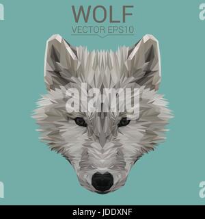 Wolf low poly design. Stock Vector