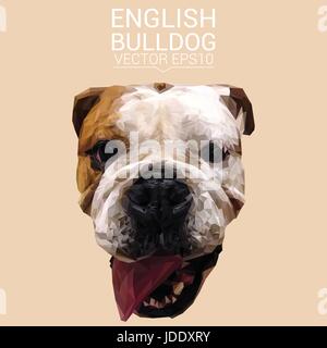 English bulldog dog animal low poly design. Triangle vector illustration. Stock Vector