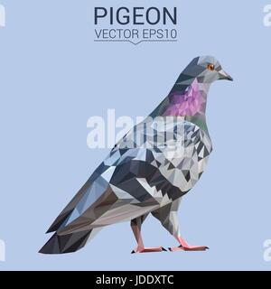 Pigeon bird animal low poly design. Triangle vector illustration. Stock Vector