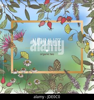 Color organic tea label decorated with hand drawn herbs. Stock Vector