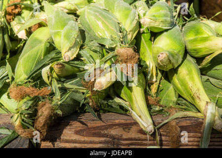 Stack of sweet corn for sale at a Farmers Market in Issaquah, Washington, USA Stock Photo