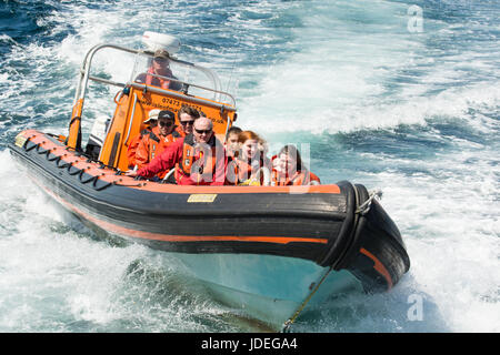Anstruther boat trip on Osprey rigid hulled inflatable to the Isle of May, Anstruther, East Neuk of Fife, Scotland, UK Stock Photo