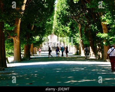 Visitors kicking up dust on path lined with leafy Plane trees on trip to Jardin des Plantes during a heat wave, Paris, France Stock Photo