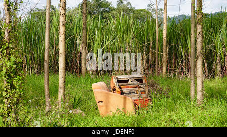Old Couch in the Forest Stock Photo