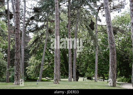 Parks around Brussels, Belgium Stock Photo