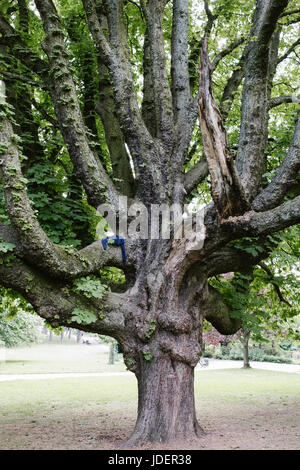 Parks around Brussels, Belgium Stock Photo